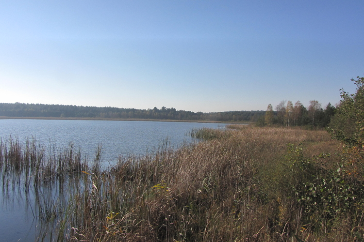 Jezioro Świdwie