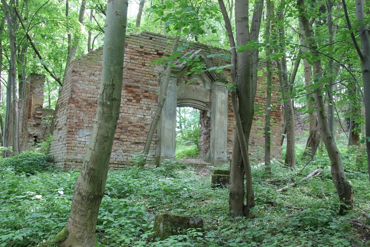 Ruiny kościoła 