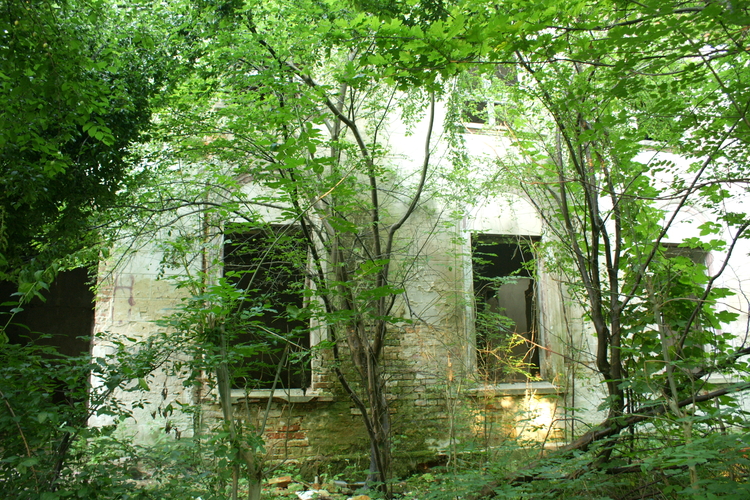 Tajemniczo zarośnięty zielenią dwór w Kłodzinie  gm. Przelewice