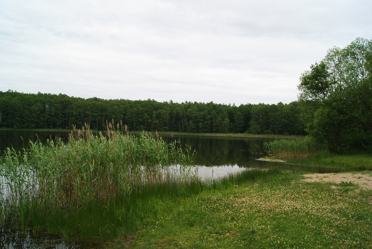 Jezioro Klępnicko