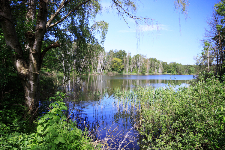 Jezioro Bartoszewo (Bartoszewskie)