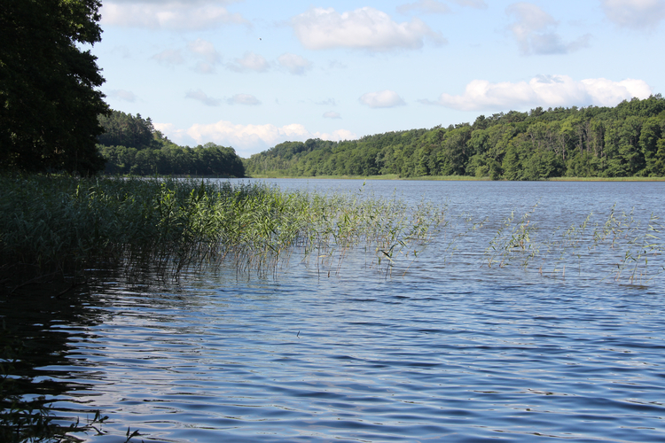 Jezioro Kołczewo