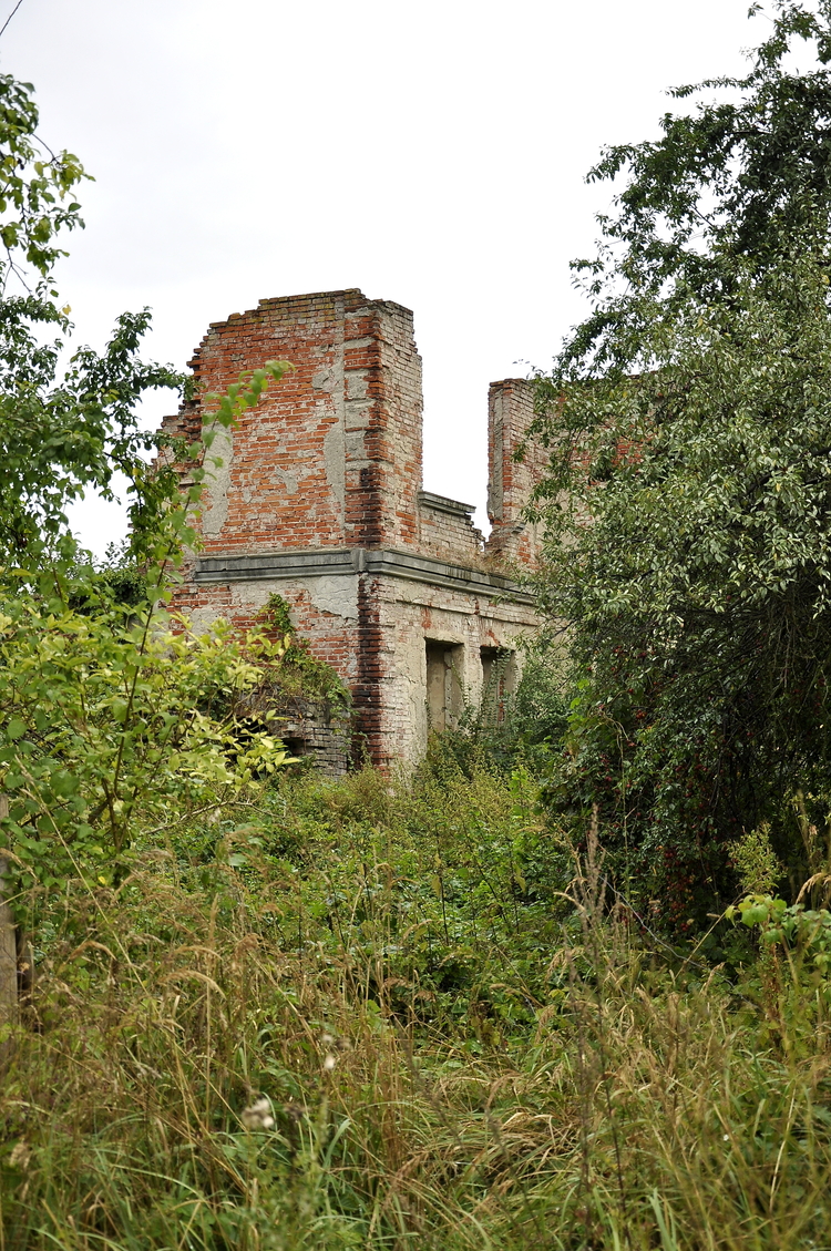 Ruiny pałacu w Batowie