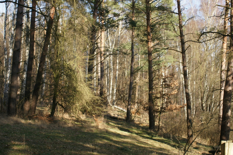Obszar Chronionego Krajobrazu D (Choszczno-Drawno).