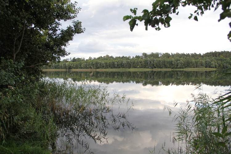 Jezioro Steklno