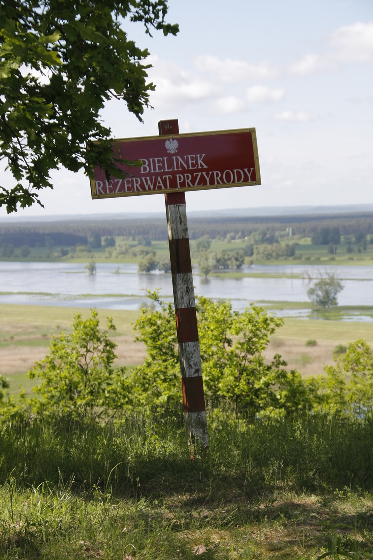 Bielinek_Nature_Reserve_EN