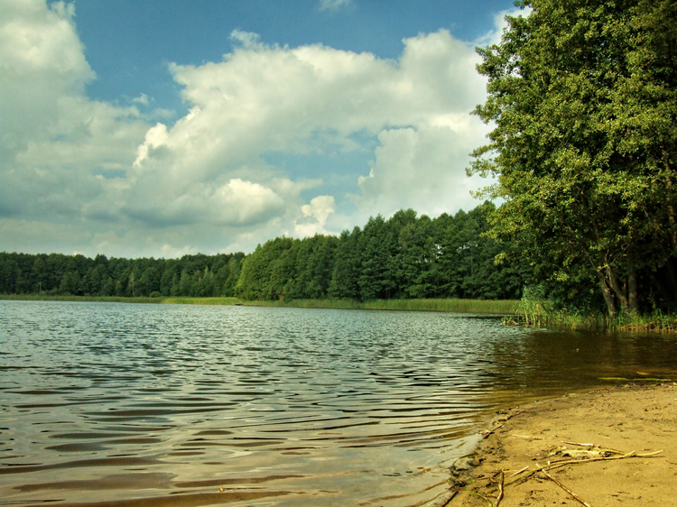 Jezioro Koprzywno