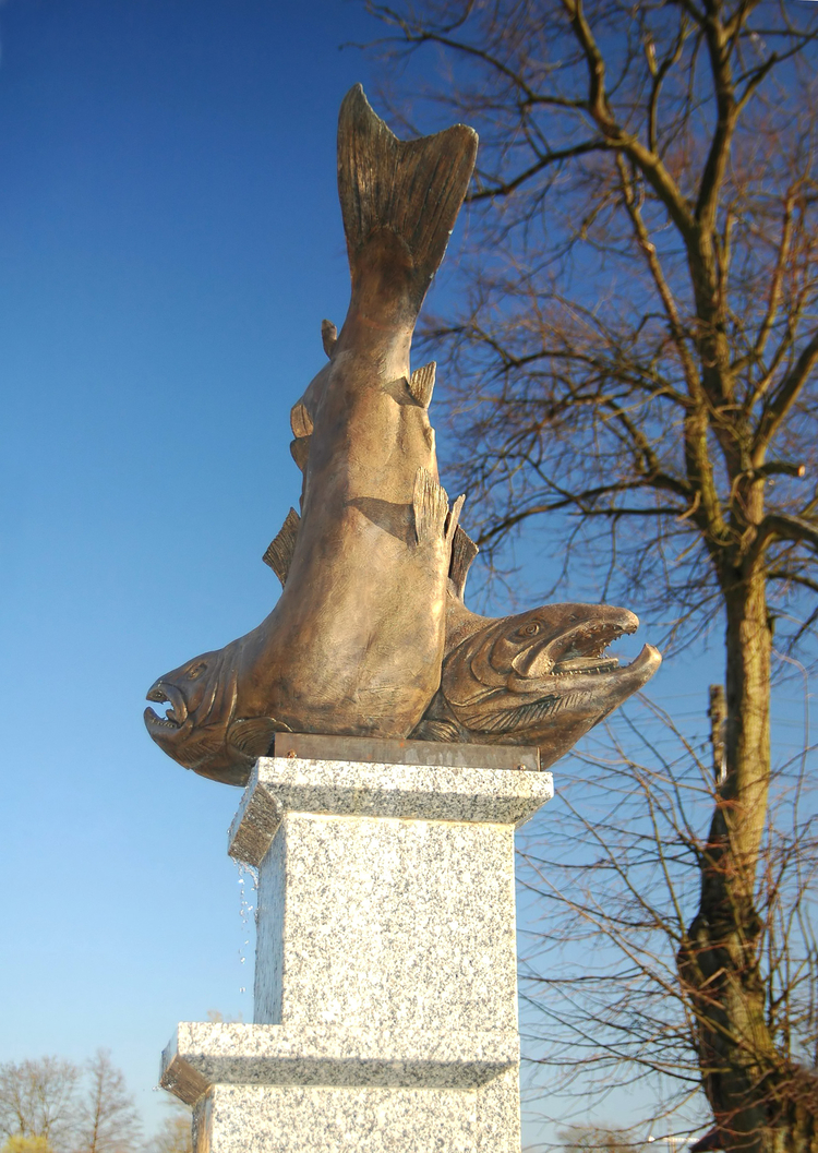 Dygowo - pomnik Łososia