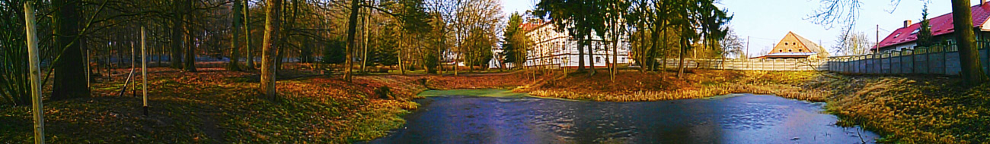 Park pałacowy z drugiej ćwierci XIX wieku w Stanominie, gm. Białogard