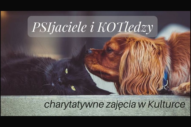 PSIjaciele_i_KOTledzy_charytatywne_zajecia_w_Kulturce