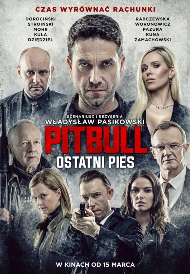 Pitbull_Ostatni_pies