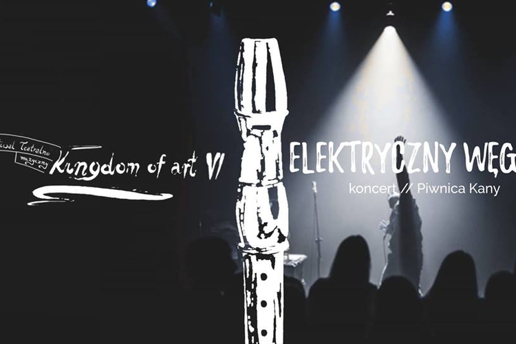 VI_Kingdom_of_Art_Elektryczny_Wegorz_koncert