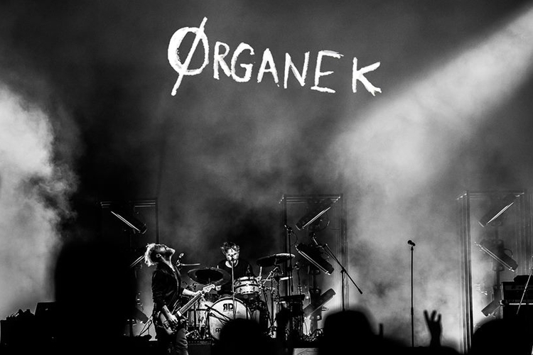 Organek
