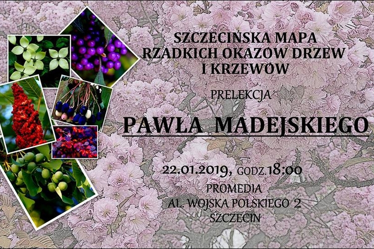 Rzadkie_okazy_drzew_i_krzewow_na_mapie_Szczecina