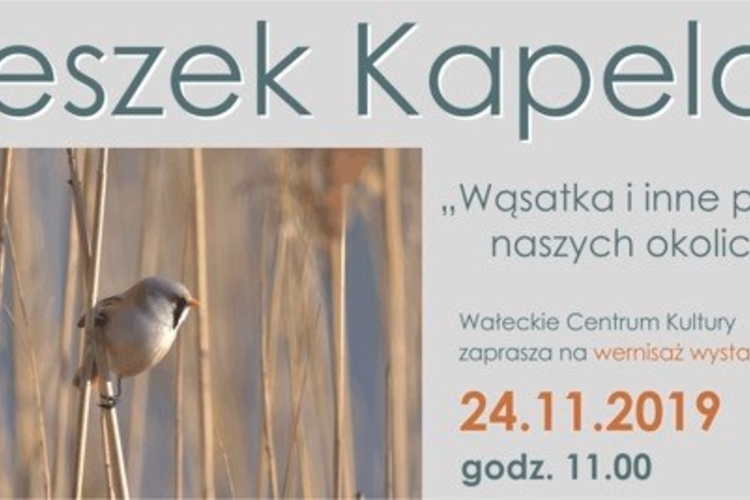Wernisaz_Wystawy_Leszka_Kapeli_Wasatka_i_inne_Ptaki