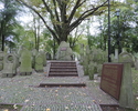 Zdjęcie przedstawia zbiór ocalonych tablic nagrobnych ze starych poniemieckich cmentarzy gminy Police                                                                                                   