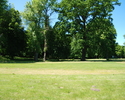 Na zdjęciu widnieje park dworski w Kulicach                                                                                                                                                             