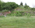 Zdjęcie przedstawia ruiny zamku. Na pierwszym planie widać fragmenty murów częściowo porośnięte trawą i krzewami.                                                                                       