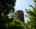 Zdjęcie przedstawia wieżę zamku w Swobnicy. Na pierwszym planie widoczne są korony drzew parku dworskiego, w centralnej części, nad zielenią góruje wieża.                                              