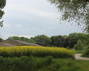 Zdjęcie przedstawia park w Lubanowie. Na pierwszym planie widać polanę, w tle, po lewej stronie widoczne są dachy pobliskich zabudowań. Po prawej stronie widoczny jest fragment ścieżki.               