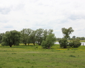 Zdjęcie przedstawia park w Raduniu. Na pierwszym planie widać polanę, w tle drzewa i fragment akwenu.                                                                                                   