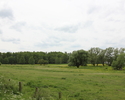 Zdjęcie przedstawia park w Raduniu. Na pierwszym planie widać polanę.                                                                                                                                   