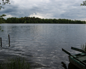Zdjęcie przedstawia park w Przyjezierzu. Na pierwszym planie widać jezioro.                                                                                                                             