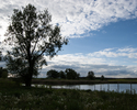 Zdjęcie przedstawia park w Mirowie. Na pierwszym planie widać polanę i staw.                                                                                                                            
