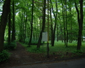 Na zdjęciu widnieje park im. Ignacego Jana Paderewskiego w Goleniowie przy Nadleśnictwie, widok od strony ul. Chopina                                                                                   