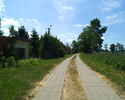 Zdjęcie przedstawia drogę wraz zabudowaniami we wsi Palczewice.                                                                                                                                         