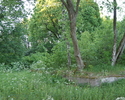 Na zdjęciu widać fragment Parku Dworskiego.                                                                                                                                                             