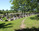 Na zdjęciu widać Cmentarz ewangelicki w Barwicach.                                                                                                                                                      