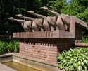 Zdjęcie przedstawia Różankę w Szczecinie. Na pierwszym planie widać fontannę z rzeźbą czterech gęsi.                                                                                                    