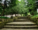Zdjęcie przedstawia schody wiodące do parku                                                                                                                                                             