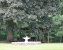 Zdjęcie przedstawia park w Kuropatnikach. Na pierwszym planie widać fontannę.                                                                                                                           
