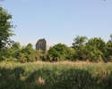 Zdjęcie przedstawia pałac w Dębogórze. Na pierwszym planie widać polanę, w tle wśród drzew znajdują się ruiny pałacu.                                                                                   