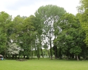 Zdjęcie przedstawia park w Bielinie. Na pierwszym planie widać polanę, która znajduje się za pałacem. Po lewej stronie mała architektura w postaci ławek i stolików.                                    