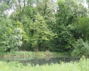 Zdjęcie przedstawia park w Wierzchlasie. Na pierwszym planie widać staw, w tle drzewa.                                                                                                                  