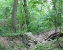 Zdjęcie przedstawia park w Mętnie Małym. Na pierwszym planie widać kamienny most pośród drzew.                                                                                                          