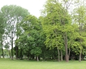 Zdjęcie przedstawia park w Bielinie. Na pierwszym planie widać polanę, która znajduje się za pałacem.                                                                                                   