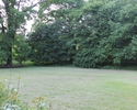 Zdjęcie przedstawia park dworski w Chełmie Górnym. Na pierwszym planie widać polanę, w tle drzewa.                                                                                                      