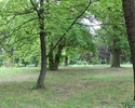 Zdjęcie przedstawia park w Krzymowie. Na pierwszym planie widać aleję spacerową.                                                                                                                        