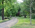 Zdjęcie przedstawia park w Chełmie Górnym. Na pierwszym planie widać aleję spacerową, która przebiega przez park.                                                                                       