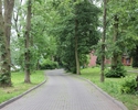 Zdjęcie przedstawia park w Trzcińsku-Zdroju. Na pierwszym planie widać aleję, w tle po prawej stronie fragment domu pomocy społecznej.                                                                  