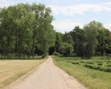 Zdjęcie przedstawia park w Rosnowie. Na pierwszym planie widać ścieżkę, która prowadzi w głąb parku.                                                                                                    