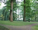 Zdjęcie przedstawia park w Chełmie Dolnym. Na pierwszym planie widać rozwidlenie ścieżki, w tle drzewa.                                                                                                 