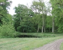 Zdjęcie przedstawia park w Bielinie. Na pierwszym planie widać polanę i oczko wodne.                                                                                                                    
