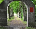 Na zdjęciu widać wejście na Cmentarz przykościelny w Trzygłowie                                                                                                                                         
