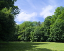 Zdjęcie przedstawia fragment parku dworskiego od strony polany parkowej.                                                                                                                                