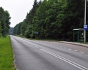 Zdjęcie przedstawia przystanek autobusowy oraz asfaltową ulicę, po której obu stronach rośnie las                                                                                                       